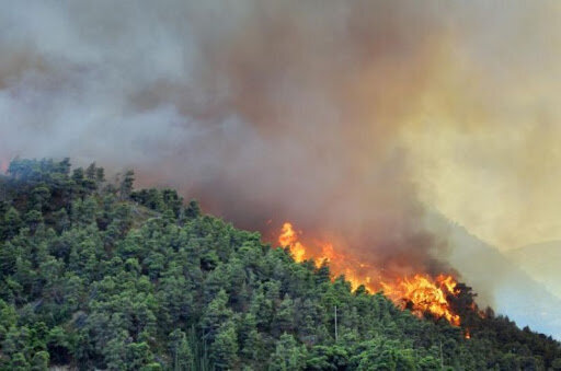 آتش سوزی در جنگل‌های ارسباران مهار شد